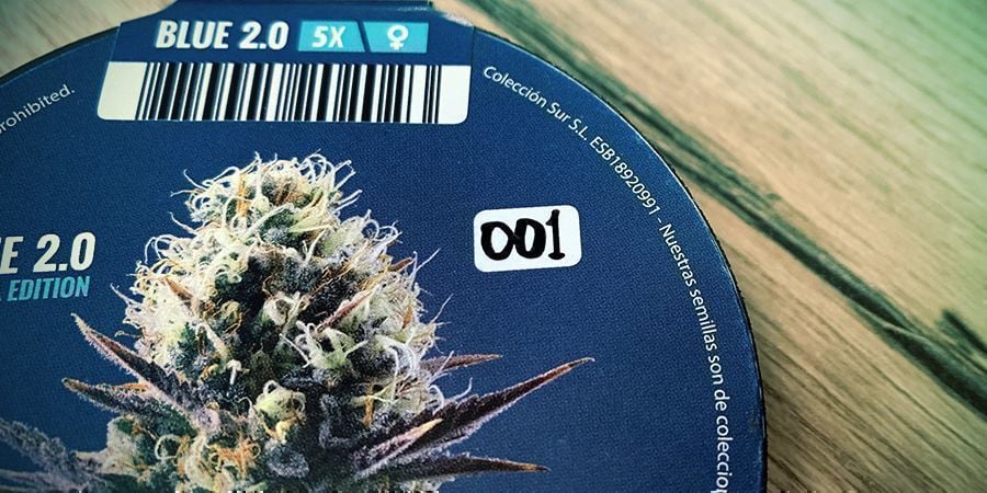 Everything You Need To Know About Blue 2.0 (Limited Edition)